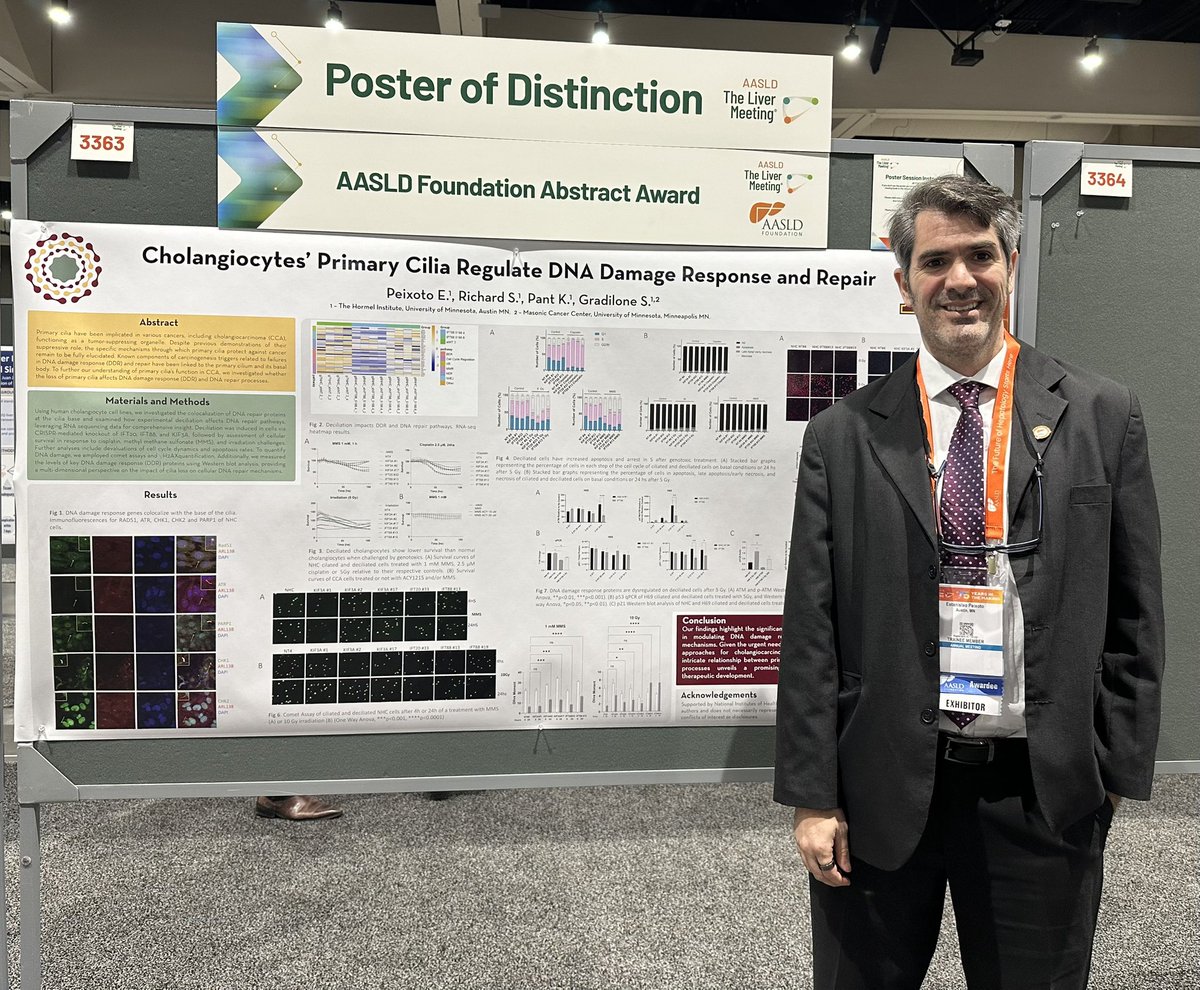 Stan work on Cholangiocyte primary cilia and DNA repair is getting early attention! #TLM2024 <a href="/EPeixoto1980/">EPeix</a> <a href="/UMNresearch/">U of M Research</a> <a href="/UMNCancer/">Masonic Cancer Center, University of Minnesota</a>