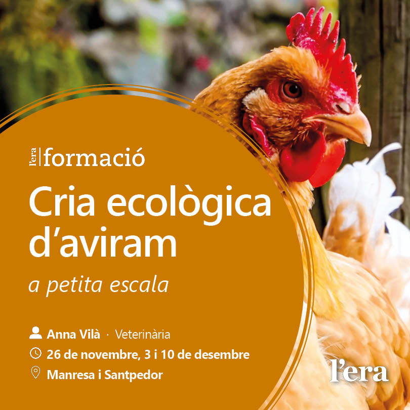 Vols aprendre més sobre la cria ecològica d'aviram i sorprendre’t amb dades curioses? 🐔💡 El nostre curs d'Aviram t'espera per descobrir-ho tot! Inscriu-te ara i uneix-te a la comunitat d'apassionats de l'agroecologia. 🌱🐣

#CursAviram