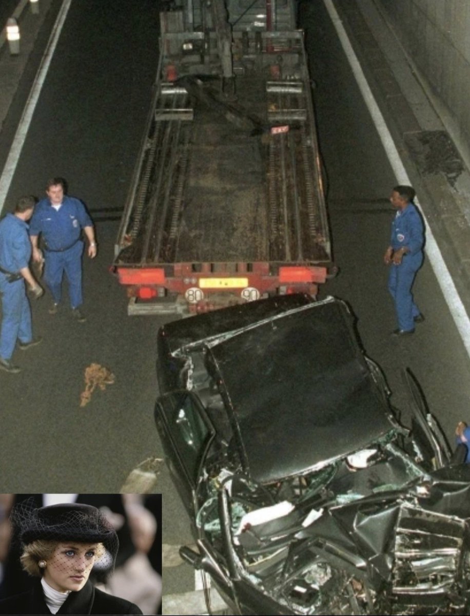 MentalidadFeroz tweet media