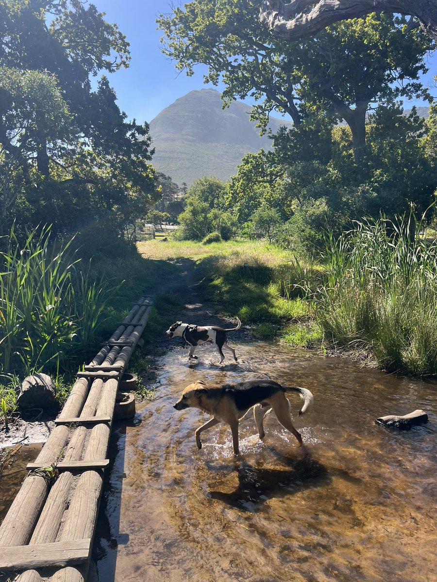 Perfect sunny Sunday in the Cape ☀️
