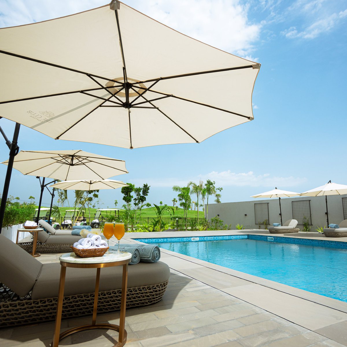 Ora Developers tweet media