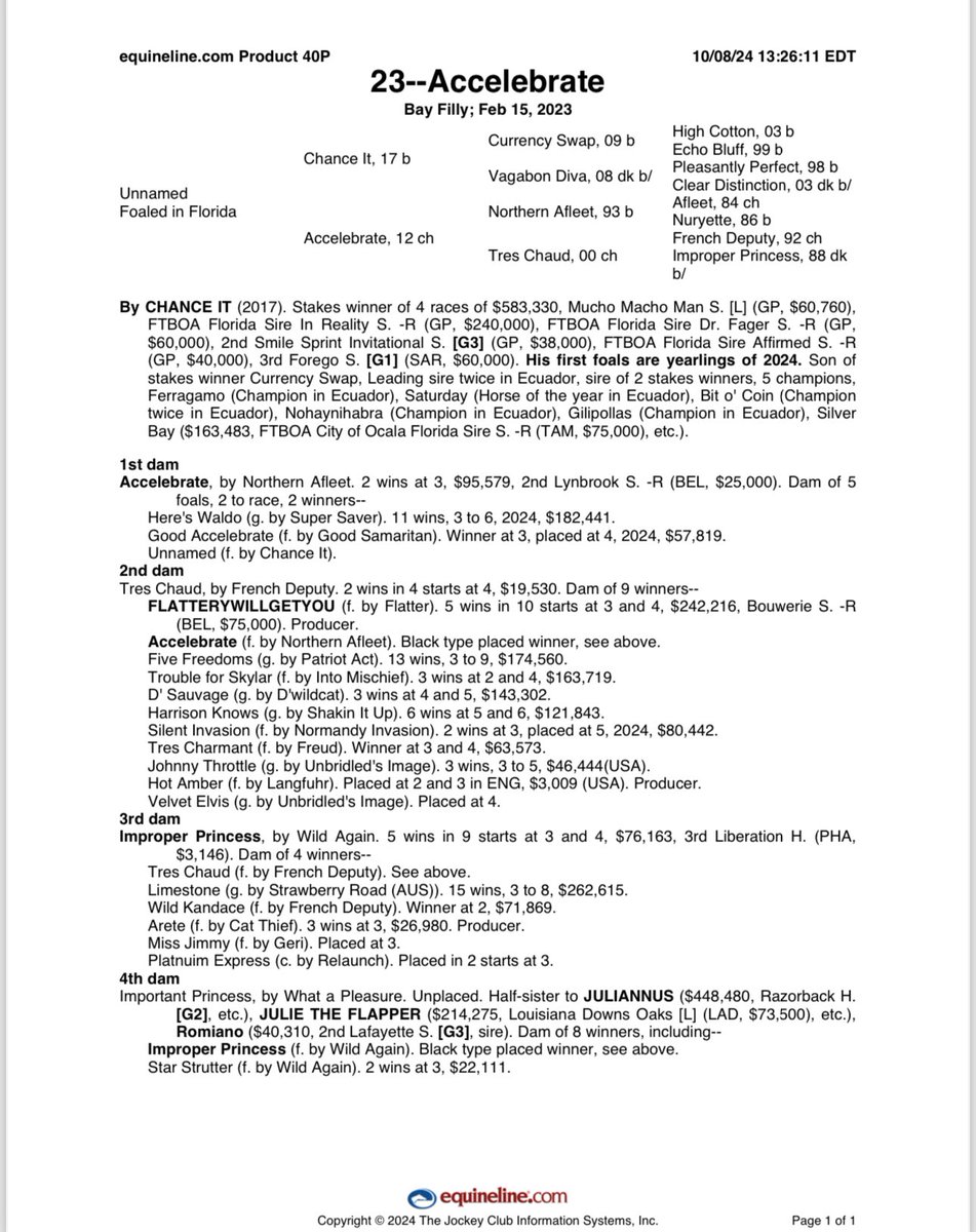 marymlight11's tweet photo. ‘23 Accelebrate by CHANCE IT is the filly in our 2025-26 @Shootingstartb_ Three Horse Syndicate. #chanceit #FLBred #FLSire #VACert #18monthsoffun #oakglenraised https://t.co/e9fNQRO6Bg