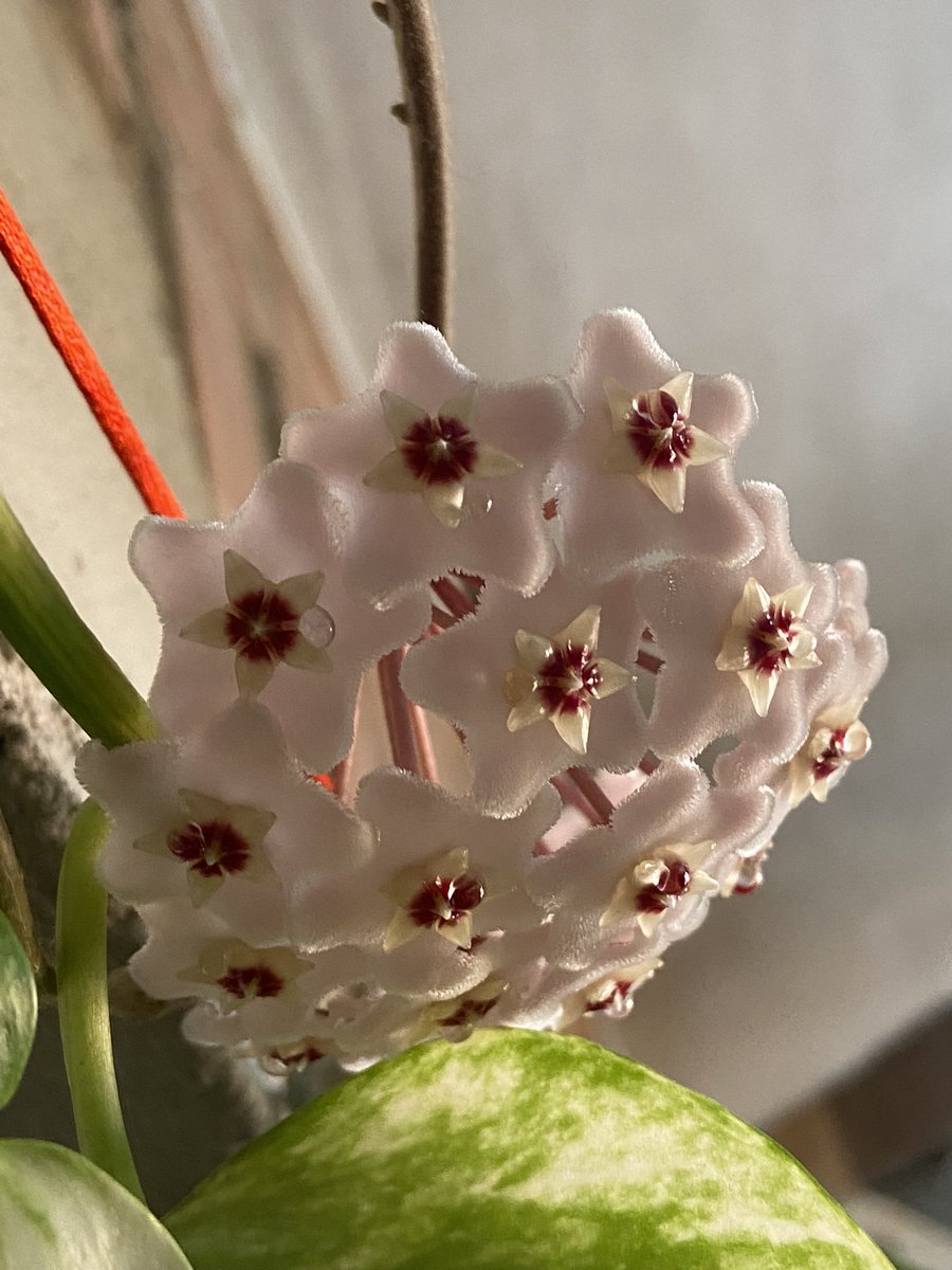 y digo yo... tweet media