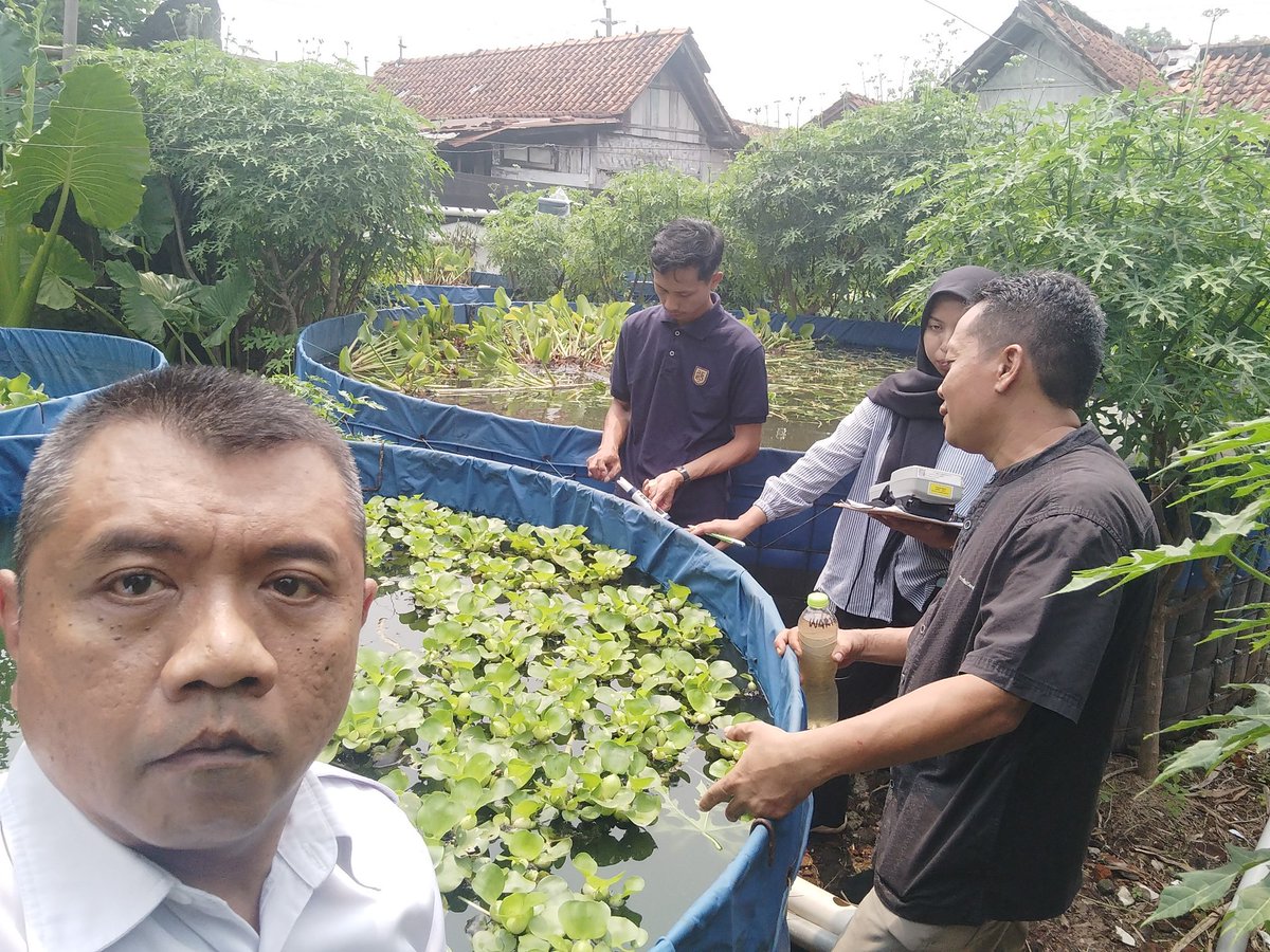 BudiFIRST2's tweet photo. Jumat (15/11/2024), Budi Mulyadi Luhkan Banyumas, Bersama Tim Posikandu Dinas Perikanan dan Peternakan Kab.Banyumas, Melakukan pengukuran kualitas air kolam lele dan gurame, cek suhu, pH, DO, Pokdakan Tapak Liman Kec.Banyumas.
#GiatLuhkanSatminkalTegal
#Banyumas
#Luhlapor https://t.co/ml3CeUaAWa