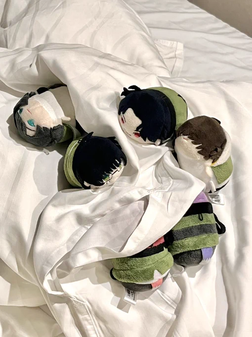 #思わず生きていると感じたぬい写真を見せて下さい 