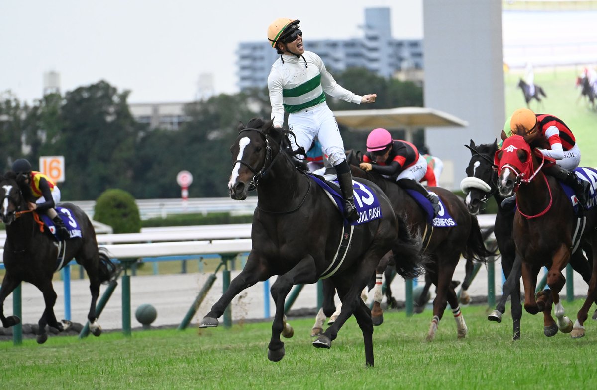 netkeiba's tweet image. 魂の突進実りマイル界の支配者へ
#ソウルラッシュ
#団野大成
#マイルCS
db.sp.netkeiba.com/horse/20071031…