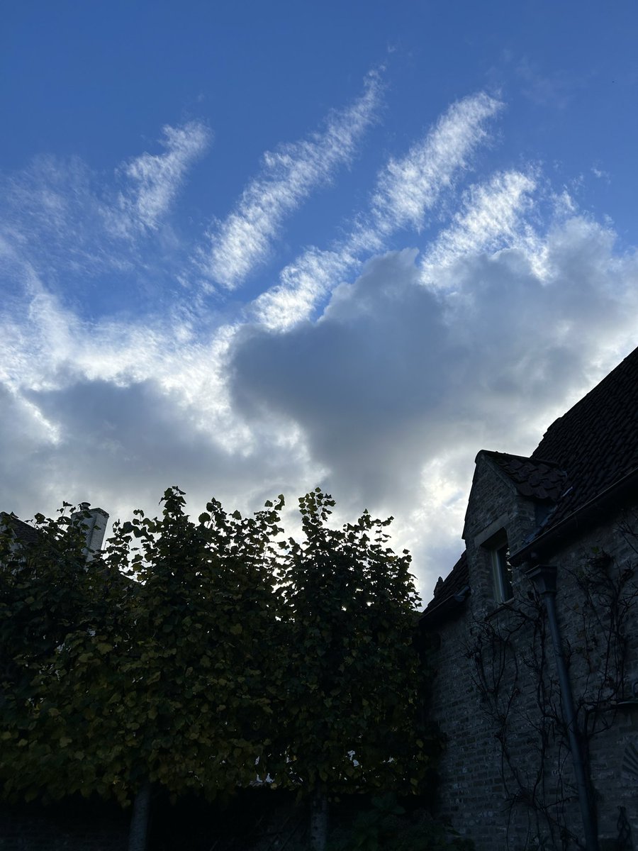 Kate Larkin tweet media