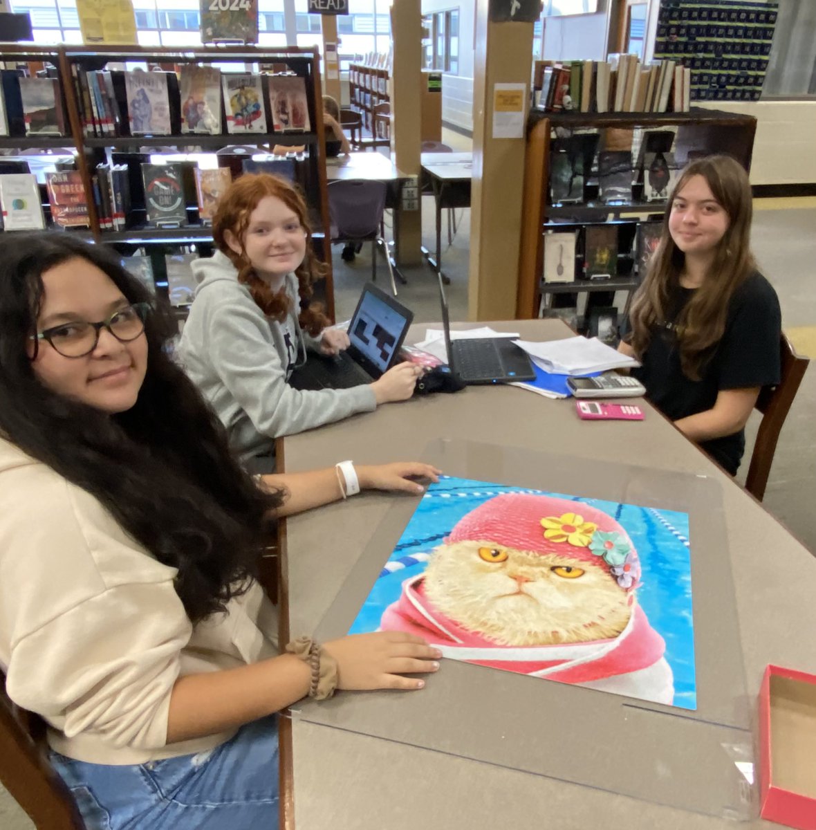 Ms. Stott tweet media