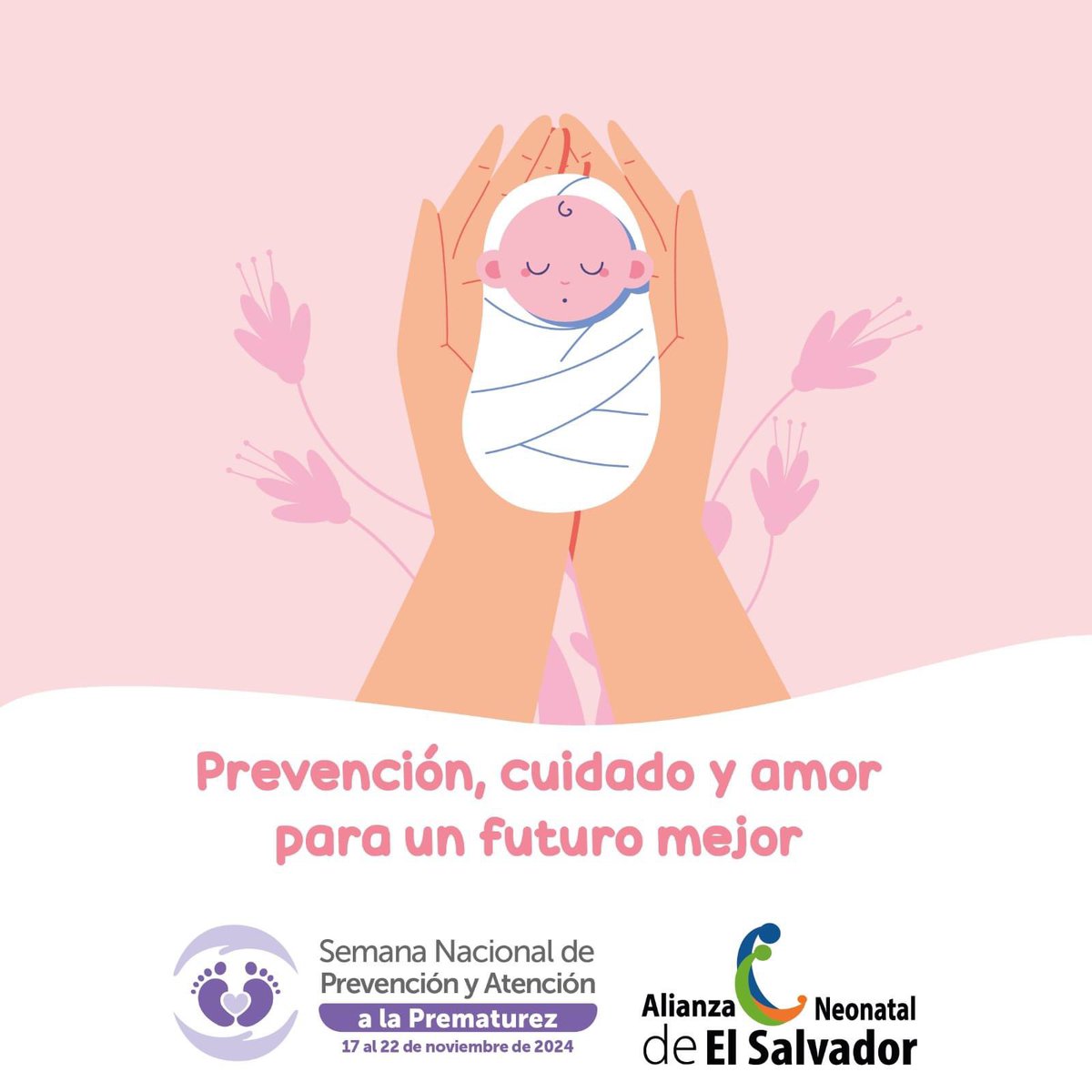 AlianzaNeonatal's tweet photo. 🌟 Hoy iniciamos la Semana Nacional de Prevención y Atención a la Prematurez, un momento para reflexionar sobre los derechos de los bebés prematuros y su familia. https://t.co/ZckOHYUGge