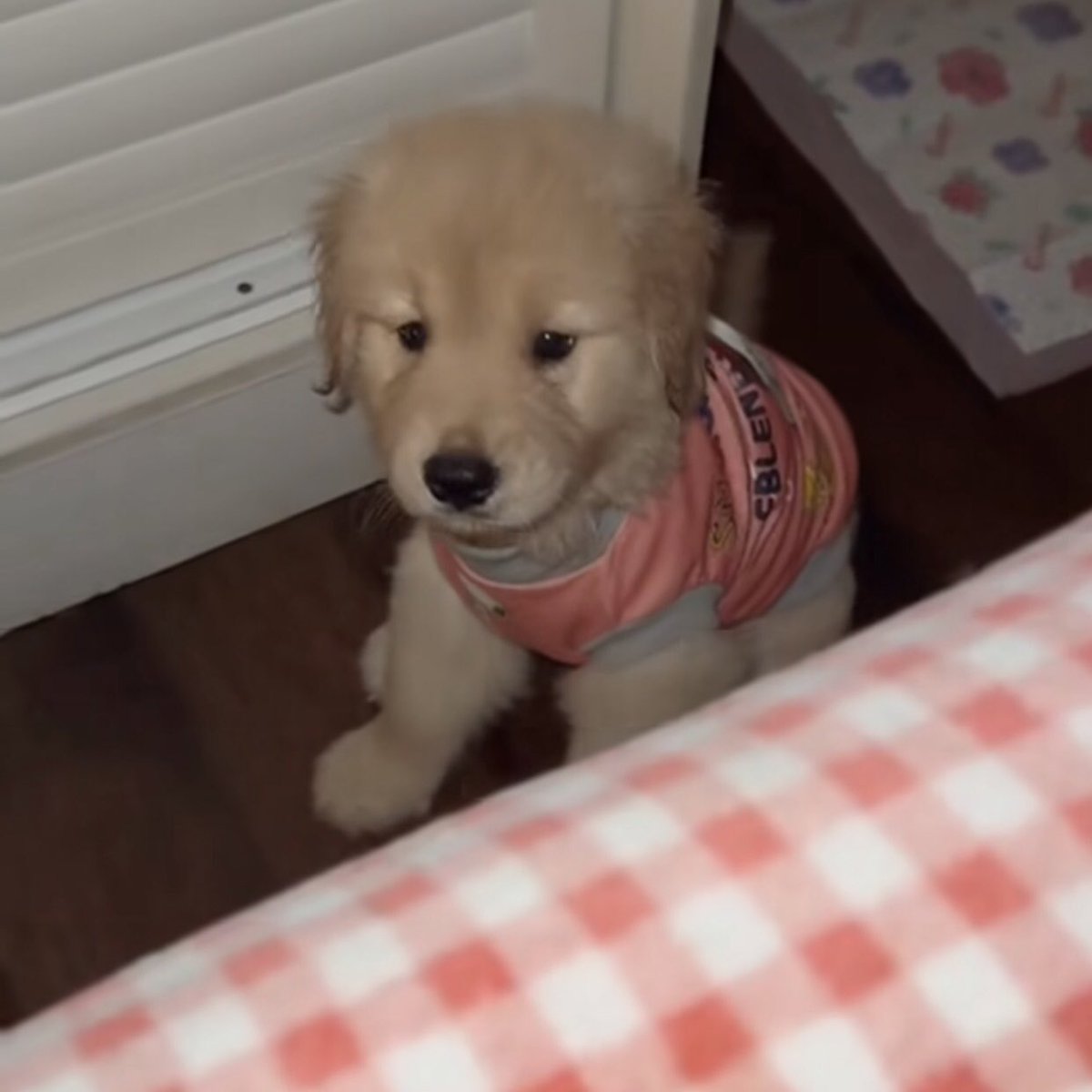 เตียงมันกว้างน้ะ นอนคนเดวเลยเหรอ จิงอ้ะ เค้าก้นอนพื้นแขงๆ ตุวคนเดว เหงาๆ ก้ได้น่ะ