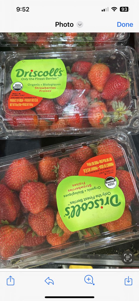 ✨Erica✨ tweet media