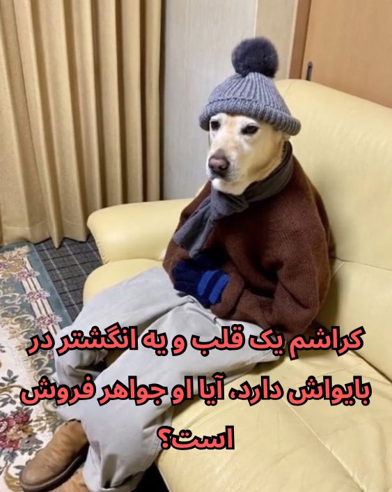 𝑀𝑎𝑡𝑖𝑛 tweet media