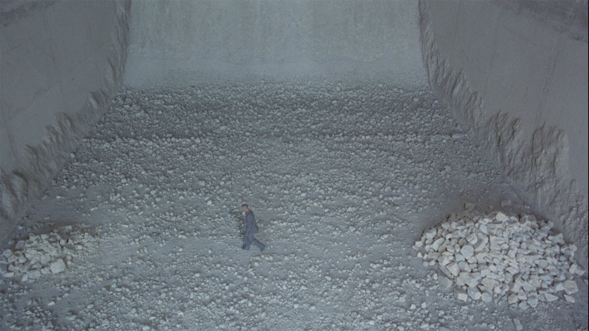 OCN Distribution tweet media