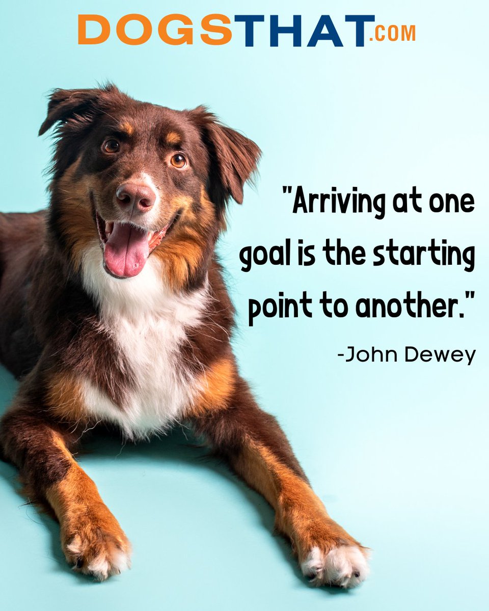 susangarrett's tweet image. "Arriving at one goal is the starting point to another." -John Dewey #Mindset #DogsThat #Goals #GoalSetting #NewStart