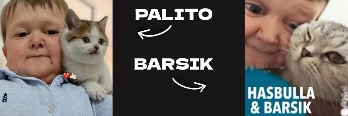 bonercat_sol's tweet photo. @aurore_auror2 @srpeters @hasbulla Justice for $palito https://t.co/aKpraZ1huV