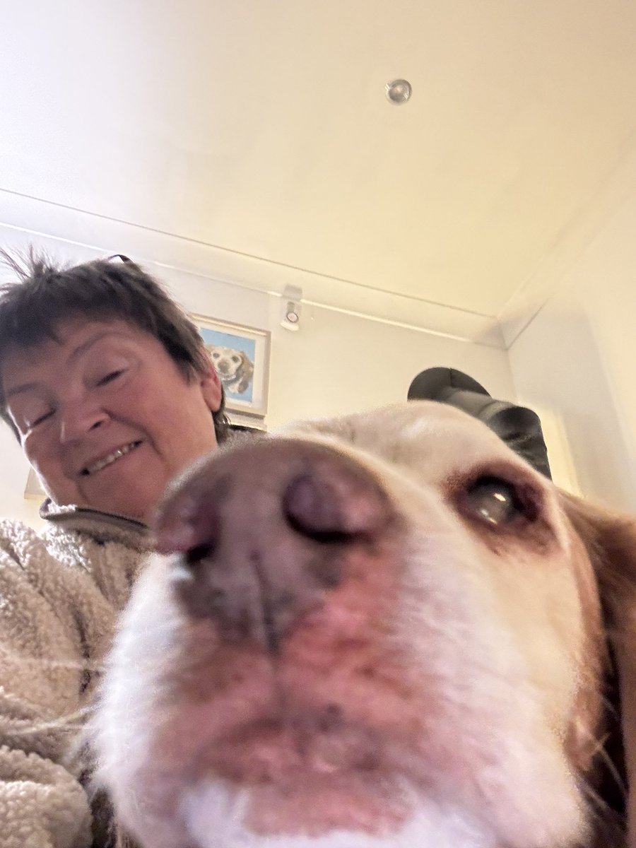 SpanielsSuper's tweet image. Cuddling up with my mum 
#Snuggles