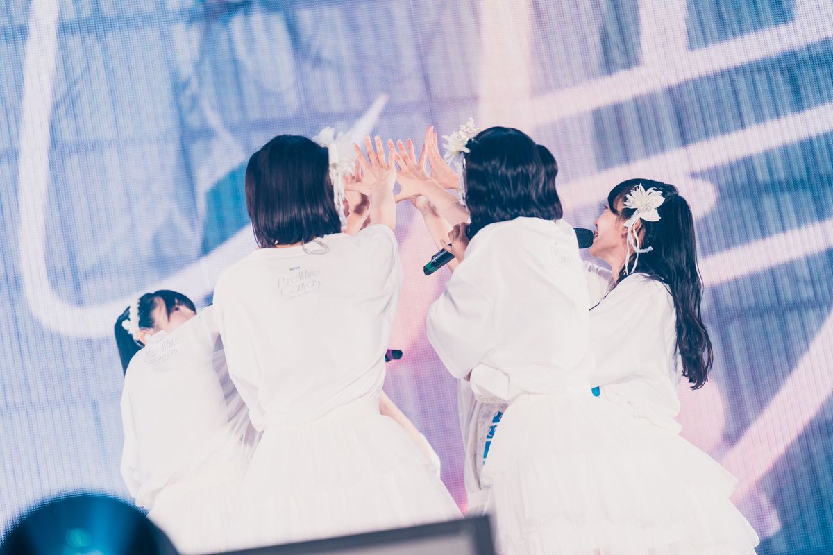 真っ白なキャンバス (@info_shirokyan) / Posts / X