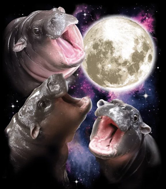 $1 waiting room 💕🦛🌚

@moodengsol <a href="/moodengx/">Moo Deng Fanclub</a> #moodeng