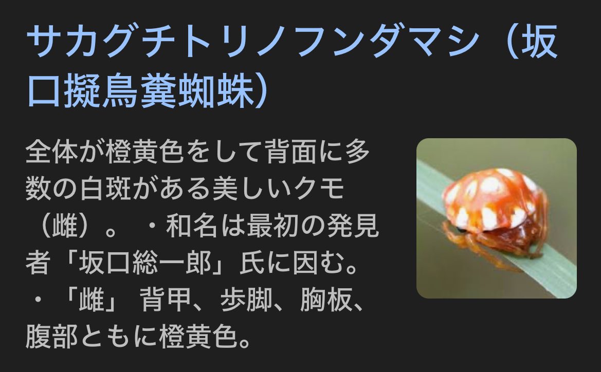 マジで「ヤマザキ春のパンまつり」みたいな名前だった