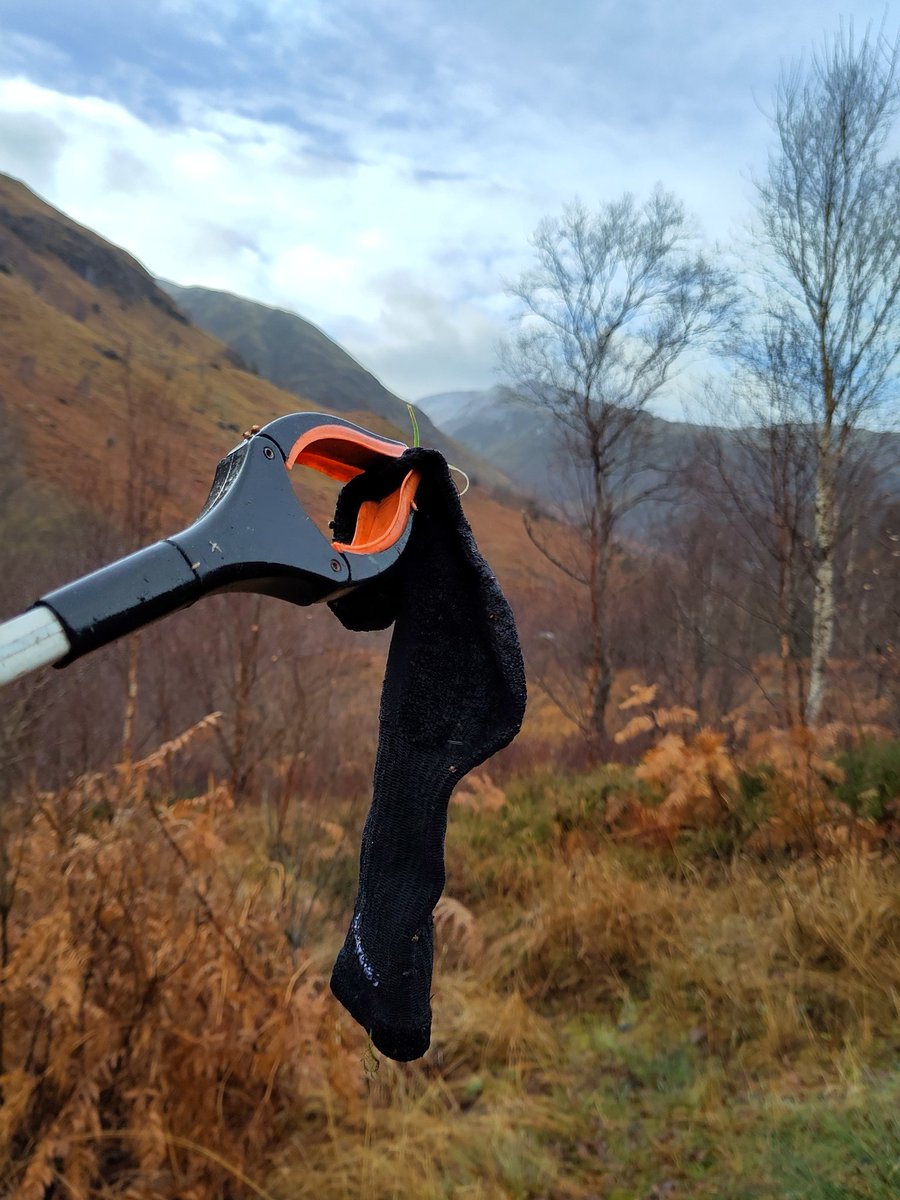 George Park tweet media