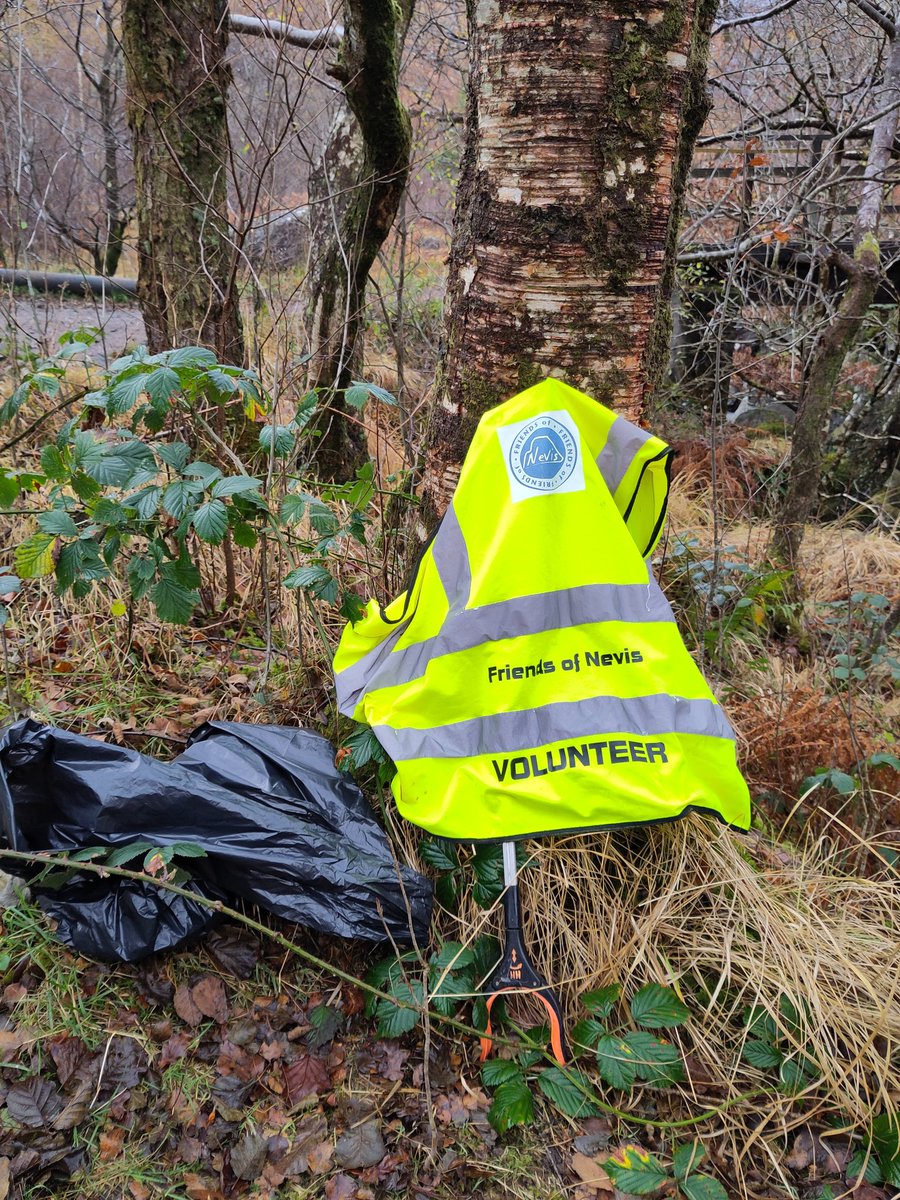 George Park tweet media