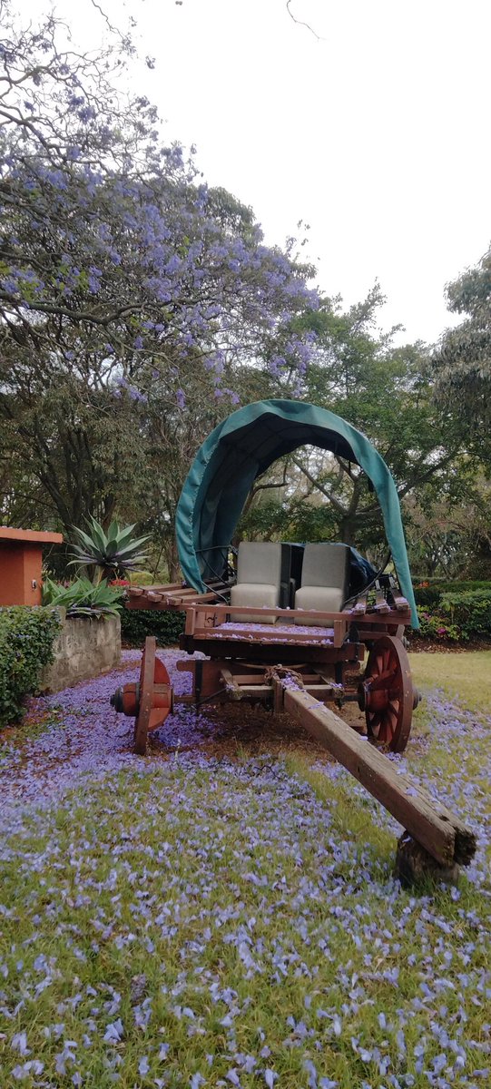 JMdoma's tweet photo. @Jacaranda_ke_ @JacarandaHotels https://t.co/kErpun9geT