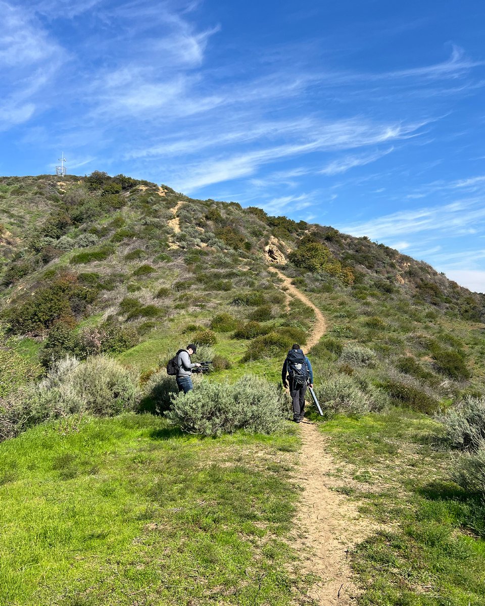 Earth Tones Lab tweet media