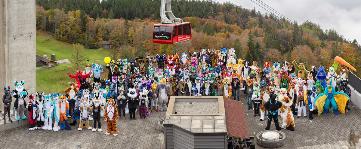 Dixon 🔜 TFF LVFC tweet media