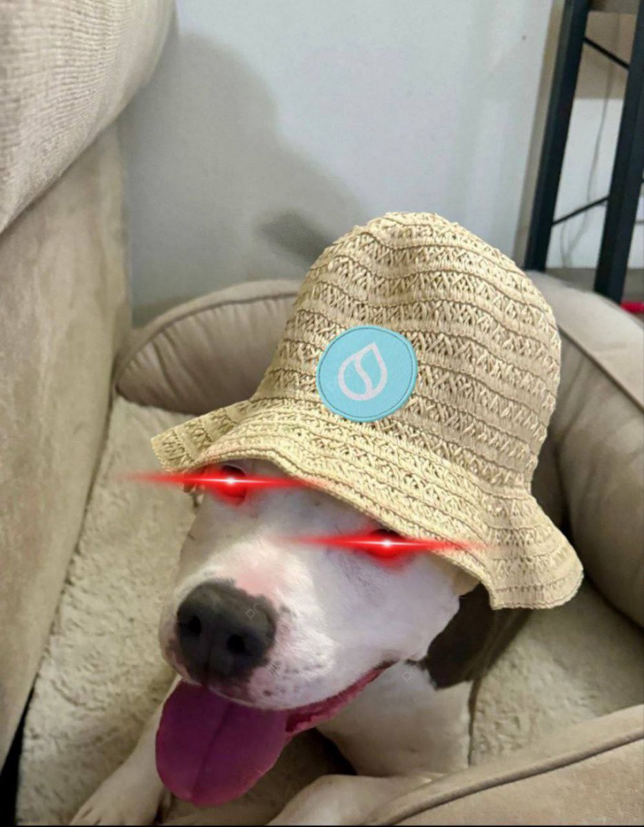 Outcast.Sui tweet media