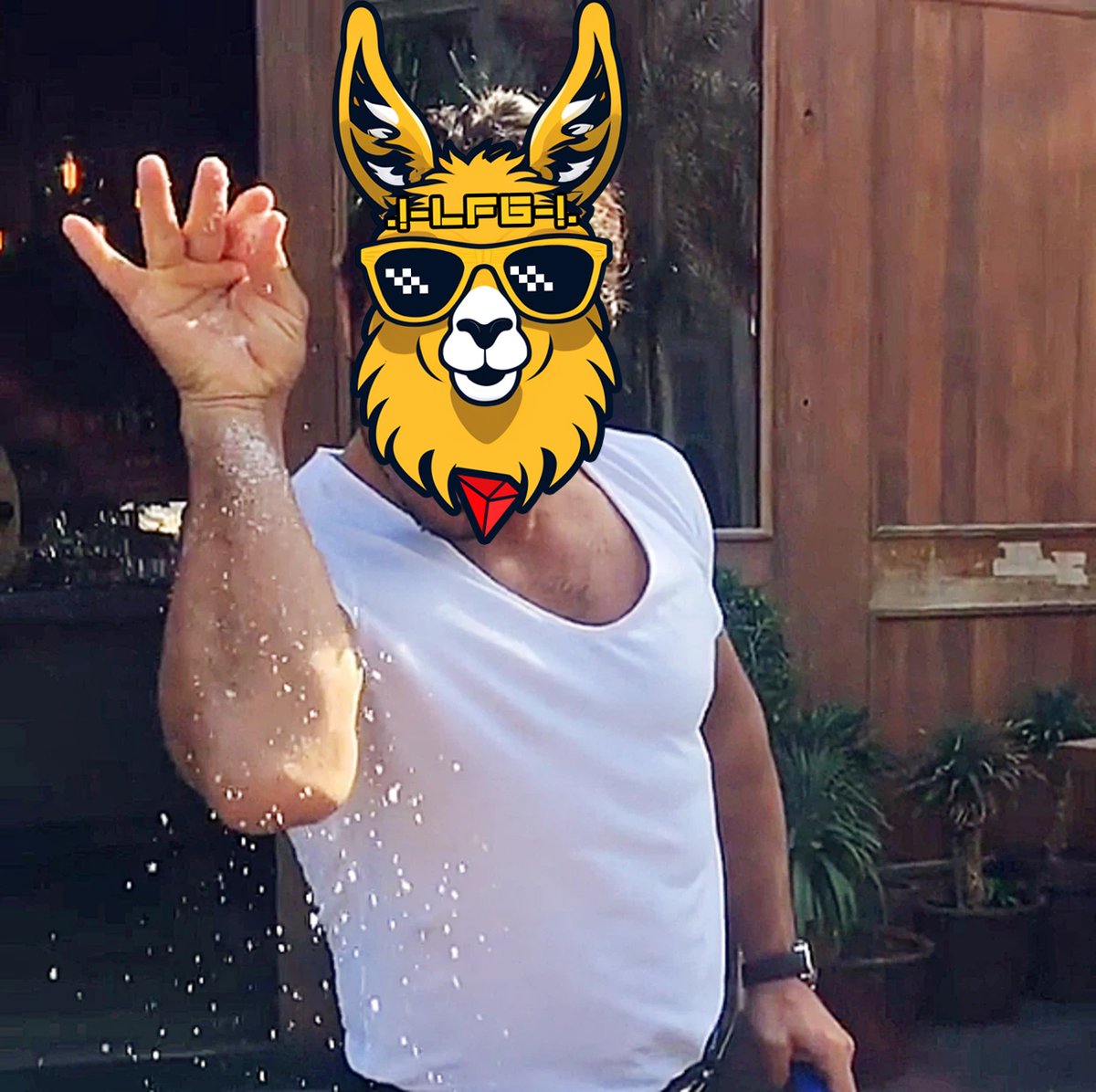 LFG_army's tweet photo. Back in 2017, a Turkish chef "Salt Bae" became an internet sensation after posting a video of his signature salt sprinkle

Just like how Salt Bae elevated steak seasoning to an art form, $LFG #TRON is about to sprinkle some mad #memetoken magic onto the blockchain world 😎 https://t.co/t1SMdOCaWc