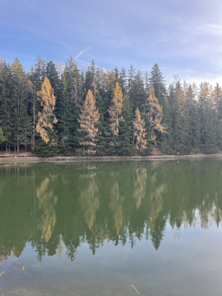 Étangs des Miriouges/Lens