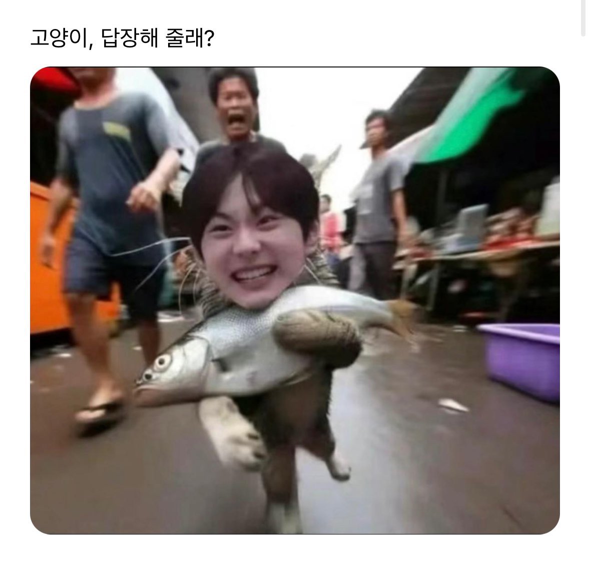 takuwon1e's tweet photo. 기시감 https://t.co/200psfrfCU