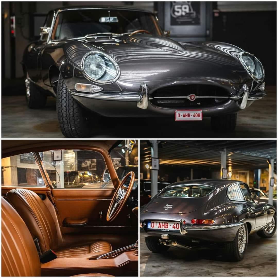 Beautiful Sunday , the Cat.