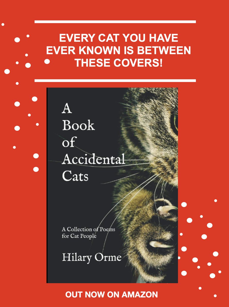 DottySeaCat's tweet photo. Secret Santa is here again! To make sure that staff have enough in the kitty to buy your luxury cat treats, we are offering our book at a discounted purrrrice (£1 off) until the end of the month. https://t.co/SUecEY9Tcd https://t.co/LcfPAnlAKR