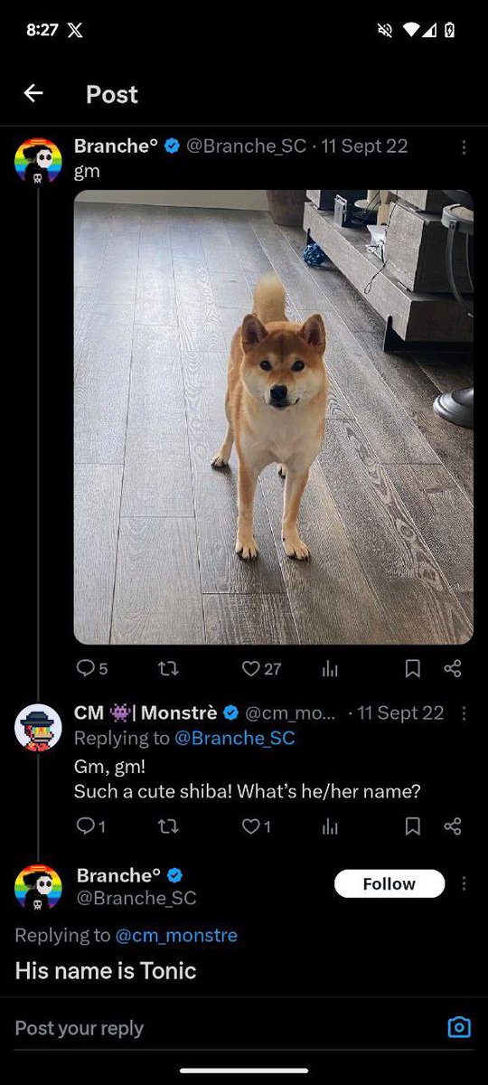 <a href="/rainascrd/">Rain ®</a> Its $TONIC.

- Bonk dev confirmed the name of the bonk dog is $TONIC he was always confused as cheems
- Sat on PF for 7 months and bonded last night and pumped to 16.9m with over 40m VOL.
- Huge whales aping, community forming, good distribution.

Memecoin supercycle