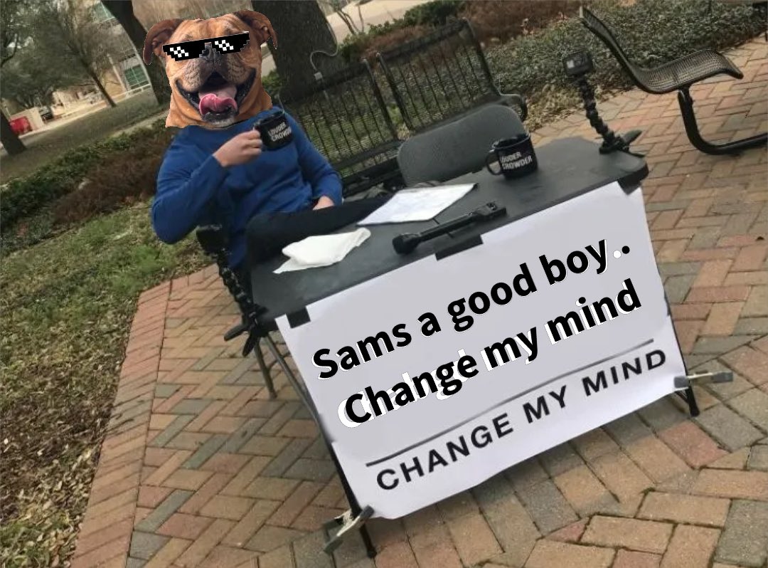 SamcoinMvx's tweet photo. $Sam https://t.co/2o24wwltes