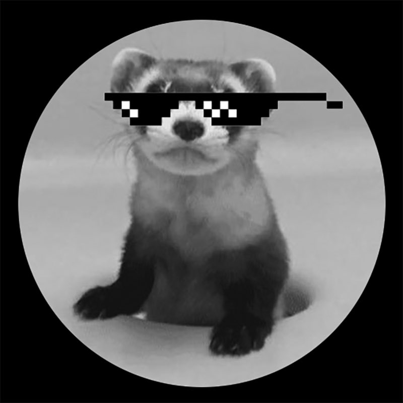maxzur_eth's tweet photo. @KookCapitalLLC And I change my name to ‚ordinal $SIBERT maxzur‘ https://t.co/bQTkSGMQ3V