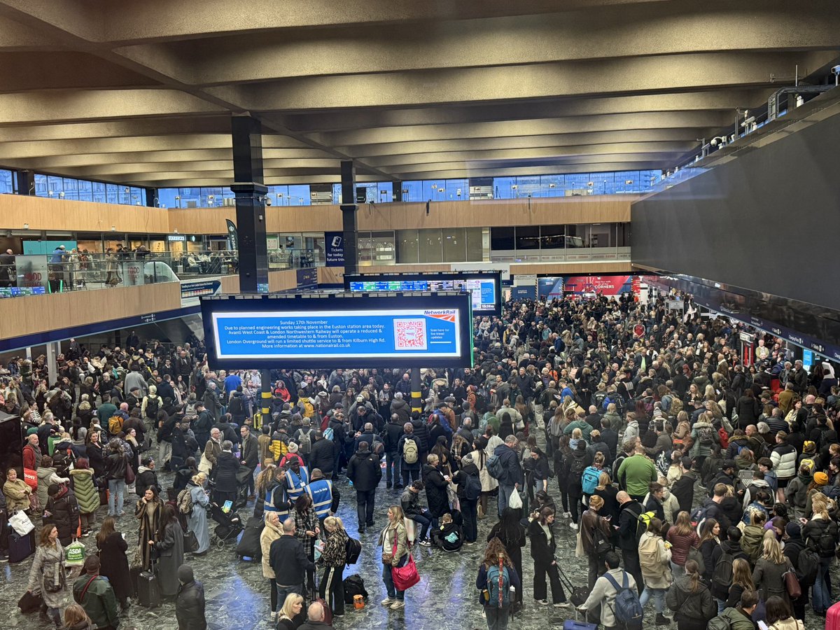 Zihao Chen tweet media