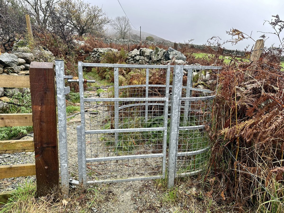 Anna Rebella, the woman, the myth, the legend tweet media