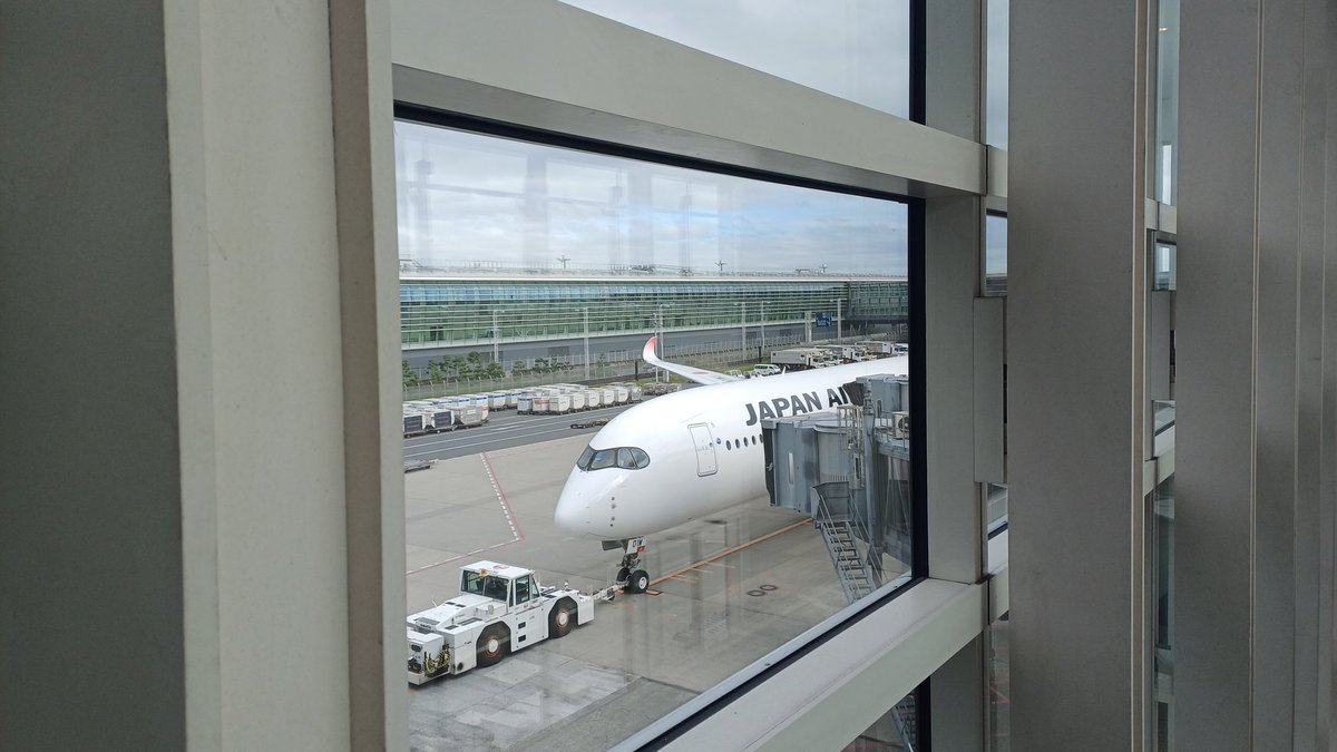 Regdeh The Hoopoe tweet media