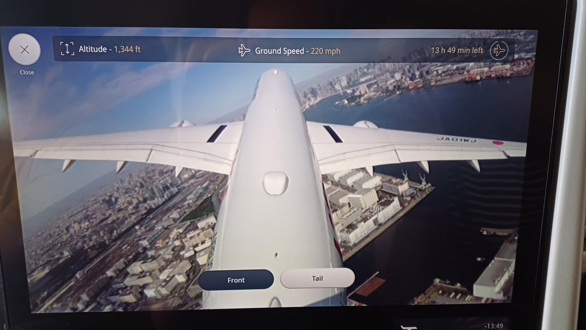 Regdeh The Hoopoe tweet media