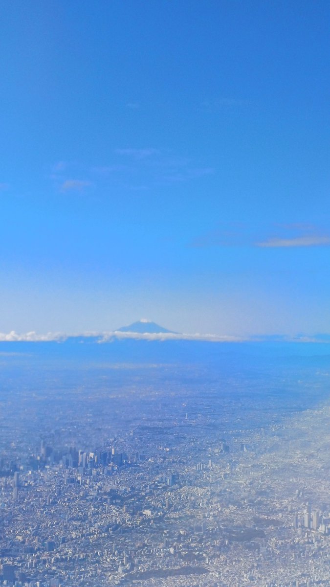 Regdeh The Hoopoe tweet media