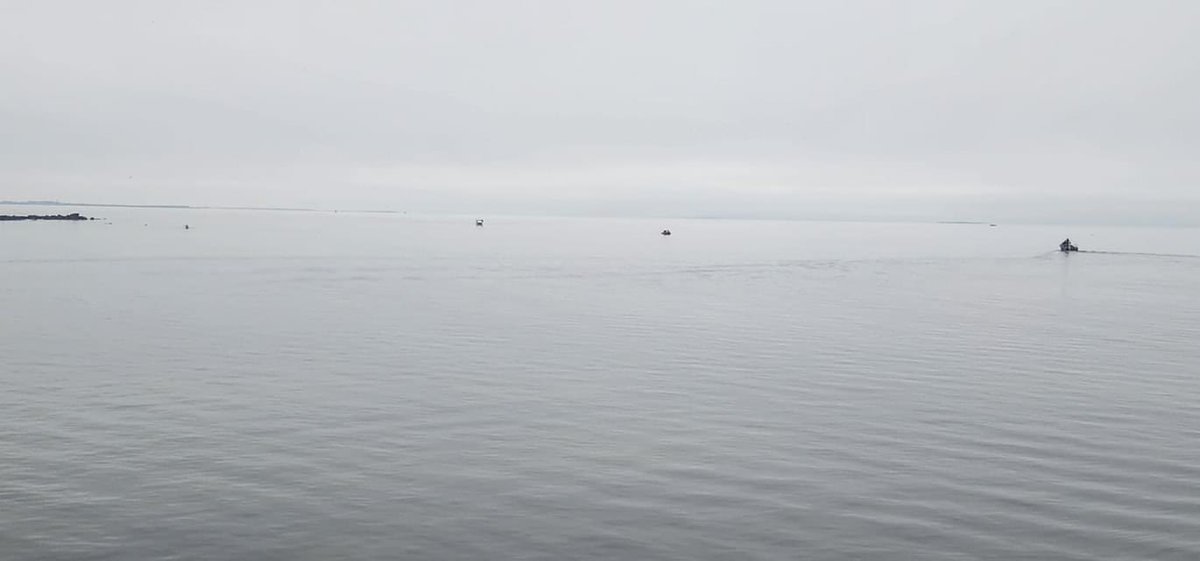 This morning we continue to assist in search operations in Galway bay.

A team of divers will conduct an underwater search in the hope of locating Máire Ní Fhátharta who was reported missing from Silverstrand beach on Tuesday following a swimming incident. 

#louthchat