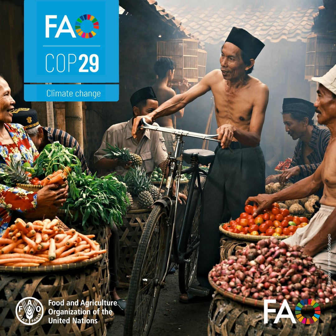 ⏰Get ready for Food, Agriculture and Water Day on 19 November at #COP29. There's a lot happening but we've got you covered!

Check out <a href="/FAO/">Food and Agriculture Organization</a> events, publications and updates on our dedicated webpage 👇

ow.ly/qnz650U5Rg9