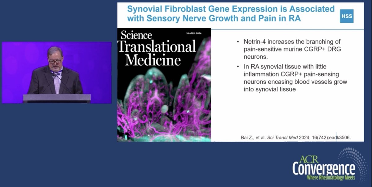 debaditya_roy tweet media