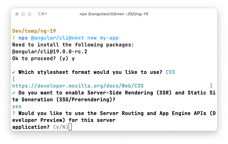New question in the Angular CLI v19: Server Routing and App Engine APIs