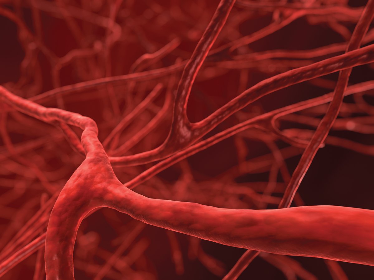 HSS investigators presented new research findings in #antiphospholipidsyndrome at the <a href="/ACRheum/">American College of Rheumatology</a> Convergence 2024 meeting. #ACR24 #HSSRhem <a href="/DorukErkanMD/">Doruk Erkan</a> <a href="/APS_ACTION/">APS_ACTION</a> 

news.hss.edu/new-antiphosph…