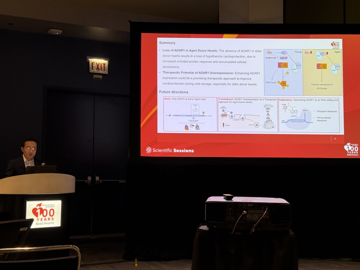 lisarongmd's tweet image. Viviene thomas awardees presenting innovative #research on nanoscaffolds and mitochondrial antioxidants, predicting aneurysm formation, #semaglutide &amp;amp; #myocardial perfusion, ADAR1 and hypothermic #cardioprotection  #AHA2024 #cardiacsurgery #cardiacanesthesia #CVSA @khq_md
