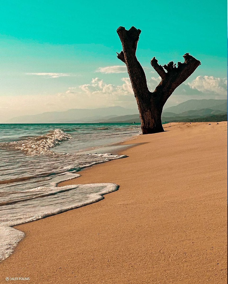 Instruction CiviqueEtMorale🇭🇹 (@civiqueetmoral) on Twitter photo 📍Port Salut,Haïti 🇭🇹
un petit paradis et une exception touristique en Haïti.
📸 <a href="/alexpollinis/">Alex POLINIS</a> 📍Port Salut,Haïti 🇭🇹
un petit paradis et une exception touristique en Haïti.
📸 <a href="/alexpollinis/">Alex POLINIS</a>