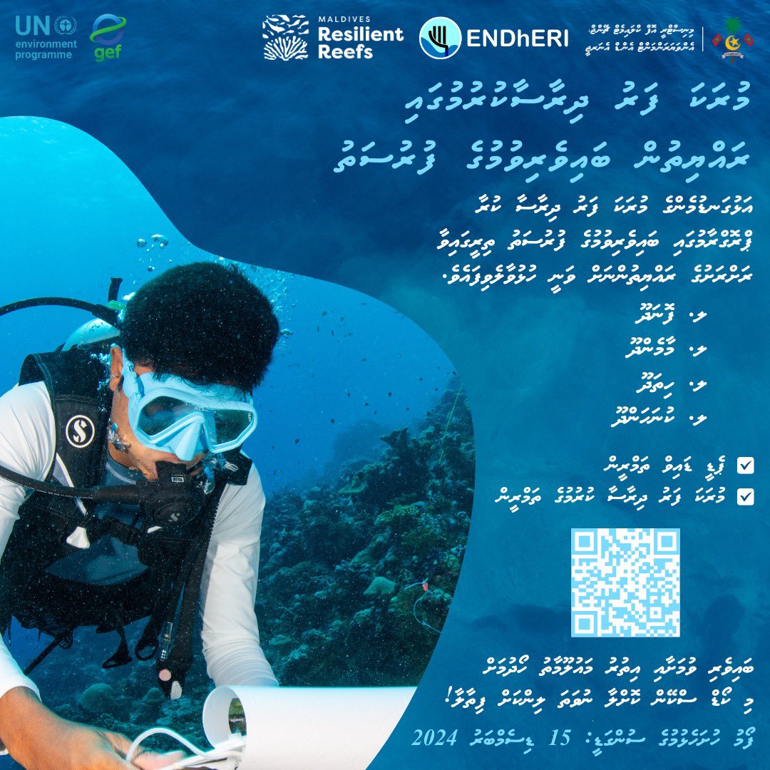 Maldives Resilient Reefs tweet media